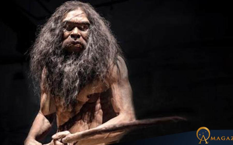 Homo heidelbergensis at the Rama 9 Museum in Bangkok, Thailand. 