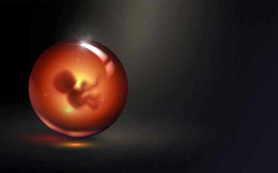 Medieval alchemists believed they could create a mini artificial human. Source: lidiia / Adobe Stock