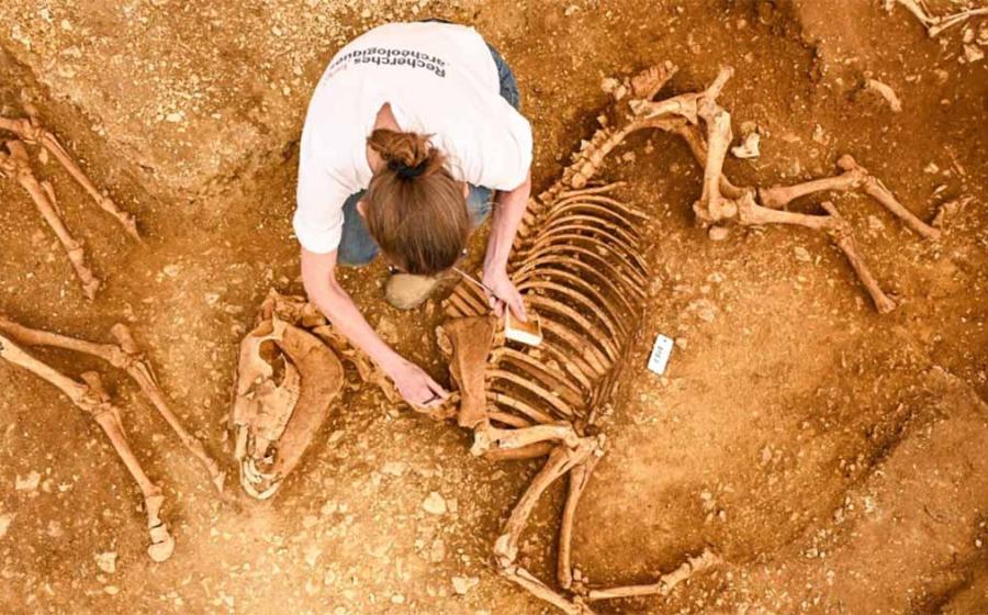 Horse pit being excavated at Villedieu, France.         Source: © Hamid Azmoun/INRAP