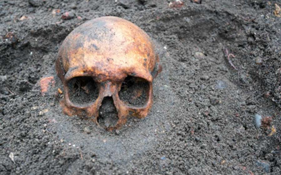 A 210,000-year-old human skull found in Greece suggests our species left Africa much earlier than previously thought.            Source: esben468635 /Adobe Stock