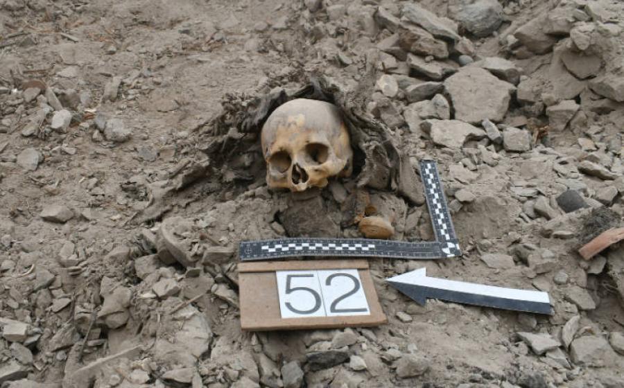 Human skull unearthed during excavations that found mass communal grave at El Curaca site in southern Peru.
