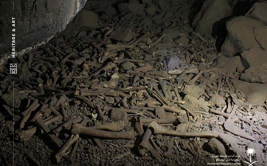 Inside the hyena cave of Umm Jirsan, one of the most spectacular lava tube caves in the world.                      Source: Kingdom of Saudi Arabia For UNESCO