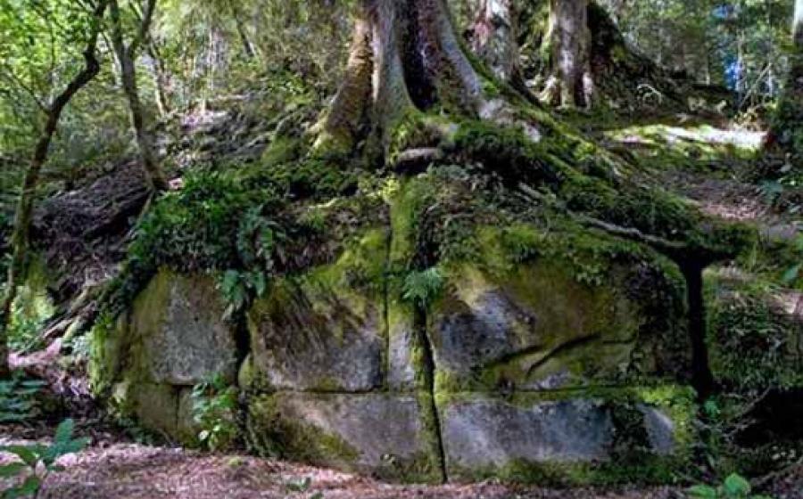 Kaimanawa wall - New Zealand