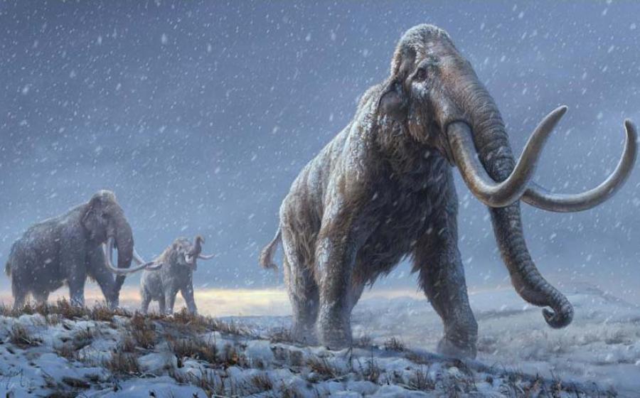 Mammoth DNA Breaks Record for World’s Oldest Sequence
