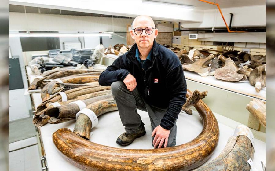 Matthew Wooller, professor in the UAF College of Fisheries and Ocean Sciences, sits among mammoth tusks in the collection at the University of Alaska Museum of the North. Source: JR Ancheta/UAF