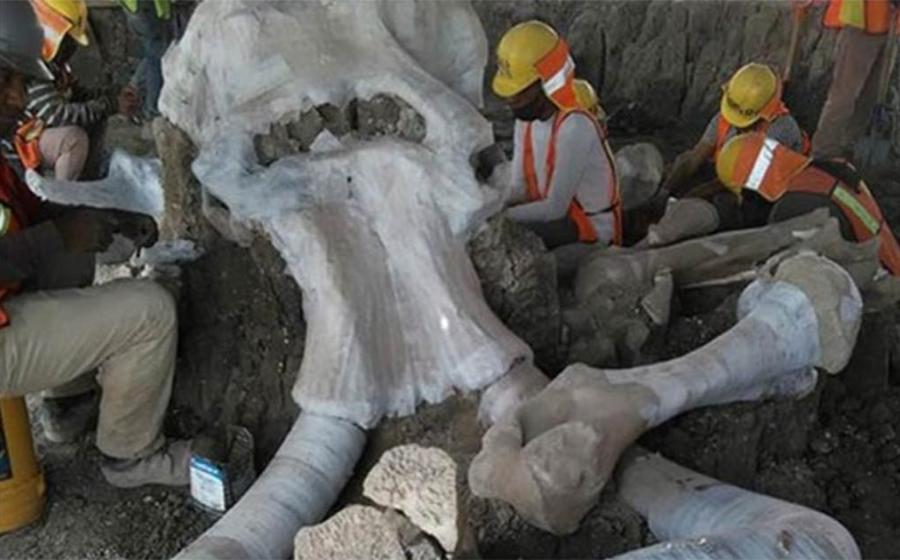 Archaeologists working at the massive mammoth skeleton site or mammoth trap area in Mexico.       Source: INAH