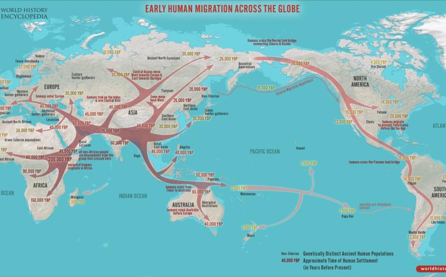 Map of early human migration, showing the migratory patterns of our ancient ancestors.