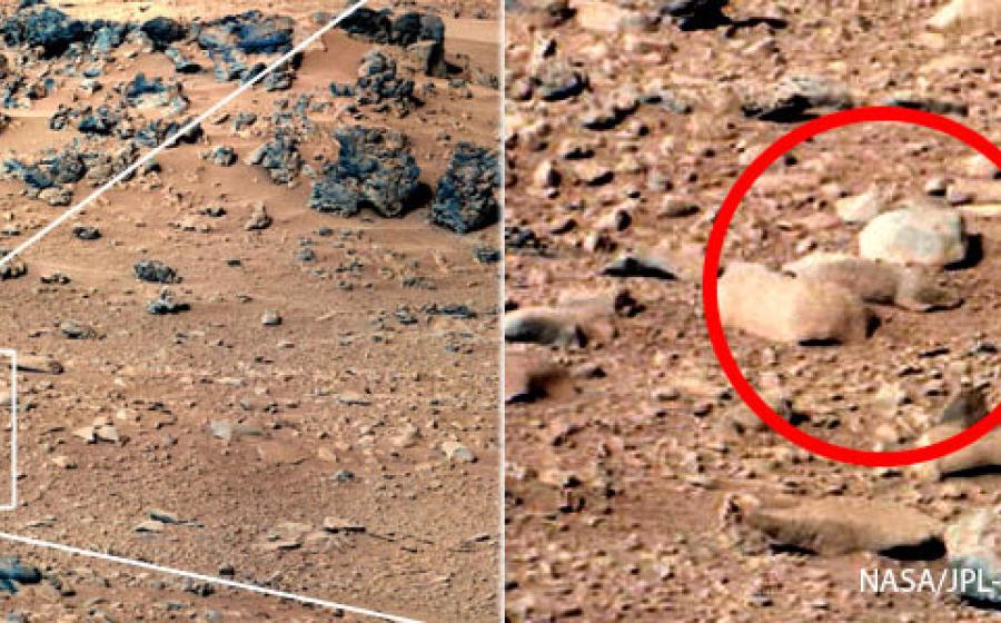 Mars Rock similar to rat