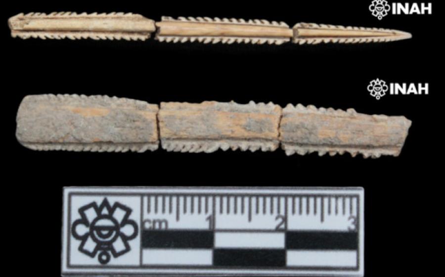 Ray spines excavated from graves Tabasco, Mexico.