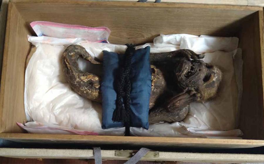 The Enjuin temple mermaid mummy which has now been exposed as a hoax. Source: Kurashiki University of Science and the Arts