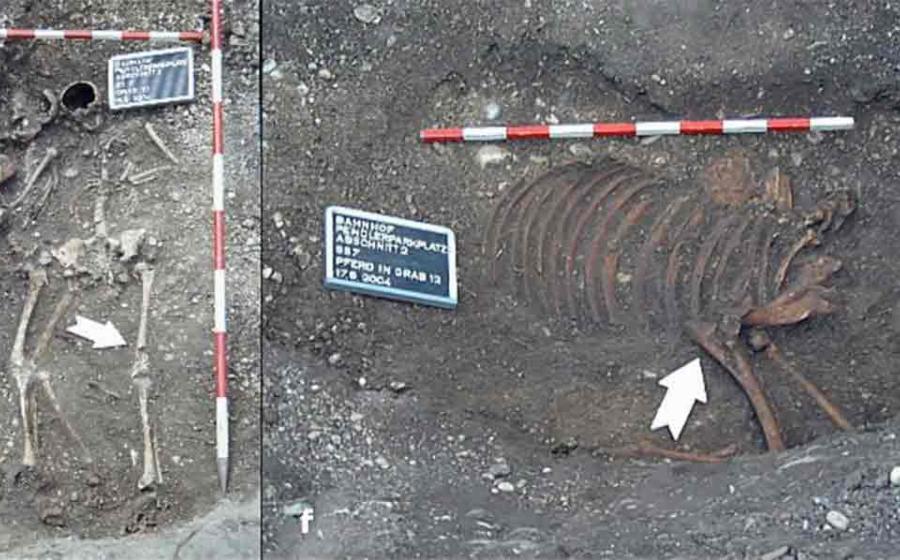 Mother, Daughter and horse too: the occupants of the Roman-era grave are not lovers, after all. Source: D Hagmann et al / Science Direct