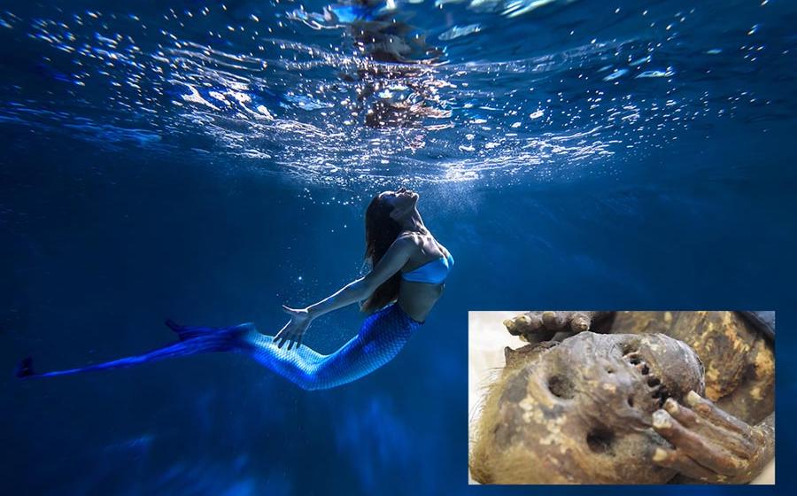 Mermaid image with inset image of the Japanese mummified mermaid. Source: yukinya / Adobe Stock and Asahi Shumbun Company / Youtube