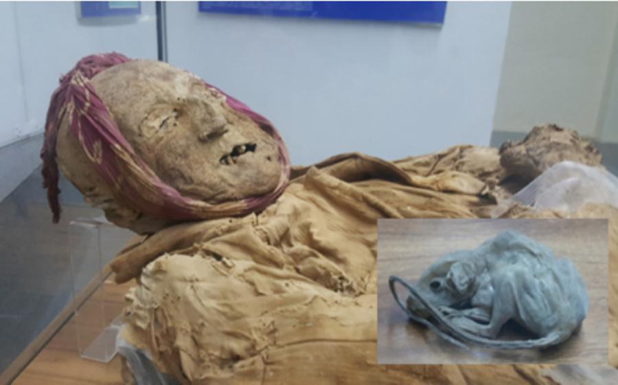 Earthquake in Ecuador Reveals Bizarre Burial of a Mummy in a Jar with a Little Mouse 