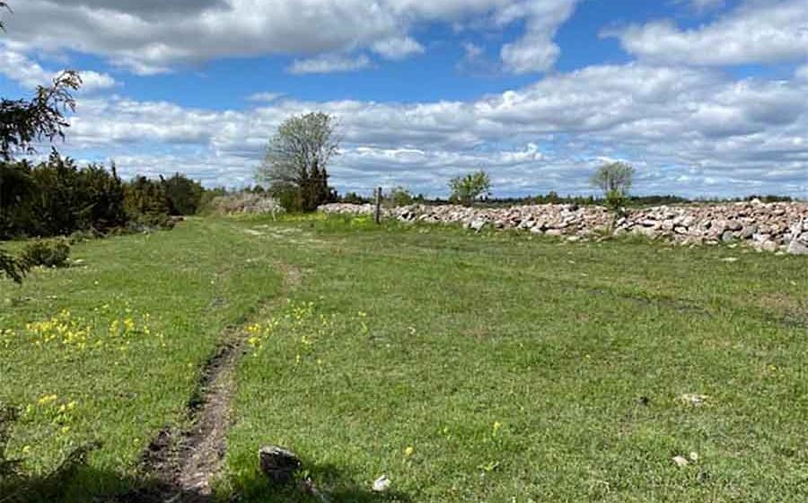 Lost Swedish Mythical Castle Found In Dry Lake By Clever Archaeologist