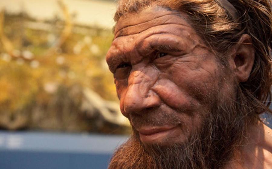Neanderthal Reconstruction