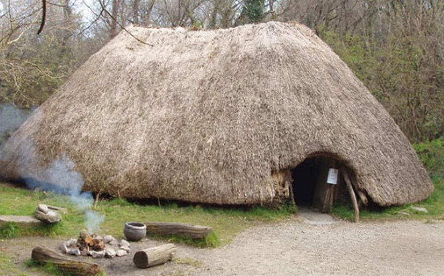 Neolithic House