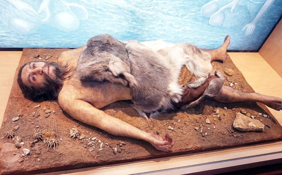 Neanderthal display at the National Museum of Natural Sciences in Madrid. 