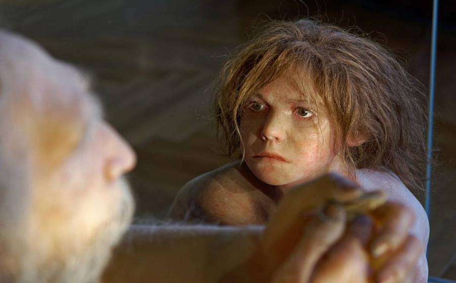 Model of Homo neanderthalensis child in the Natural History Museum, Vienna 