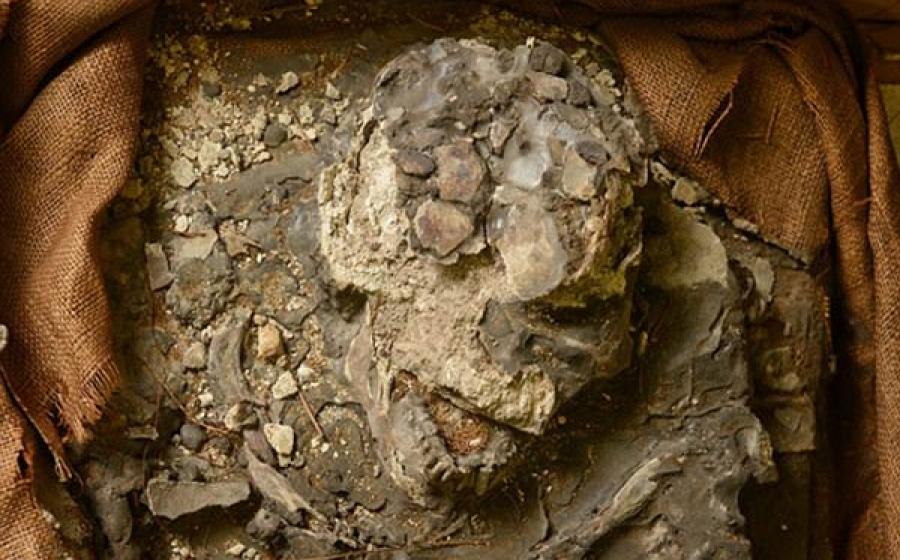 ‘Noah’, a 6,500-year-old skeleton