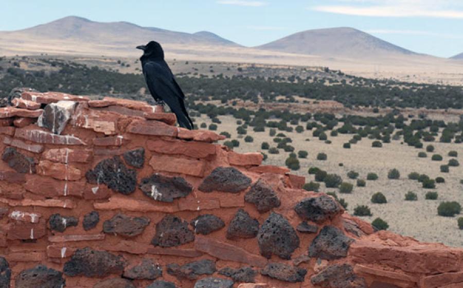 1000 Old Village - News Mexico