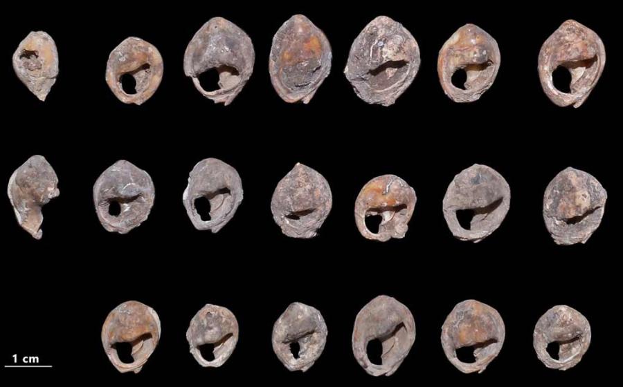 World’s Oldest Jewelry Excavated at a Moroccan Cave