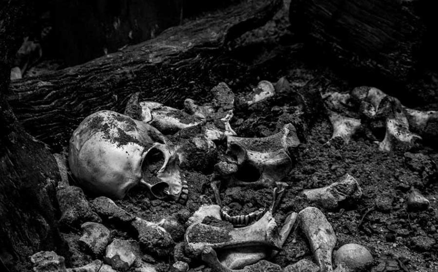 Human skeletal remains (representational image). Source: Thanakrit / Adobe Stock