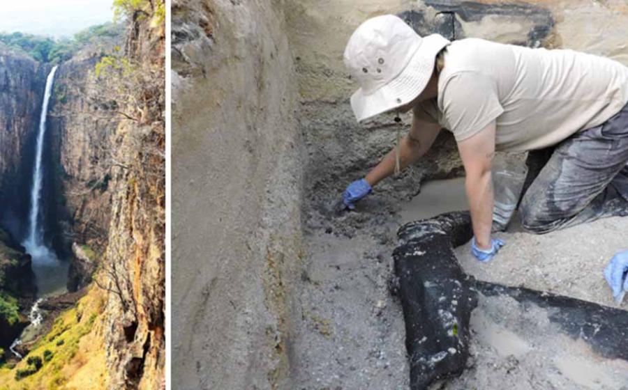 Left; Kalambo Falls, Zambia where the oldest wooden structure was found. Right: the excavation team uncovering the ancient wood.	Source: Left; Professor Geoff Duller/Nature, Right; Professor Larry Barham/Nature