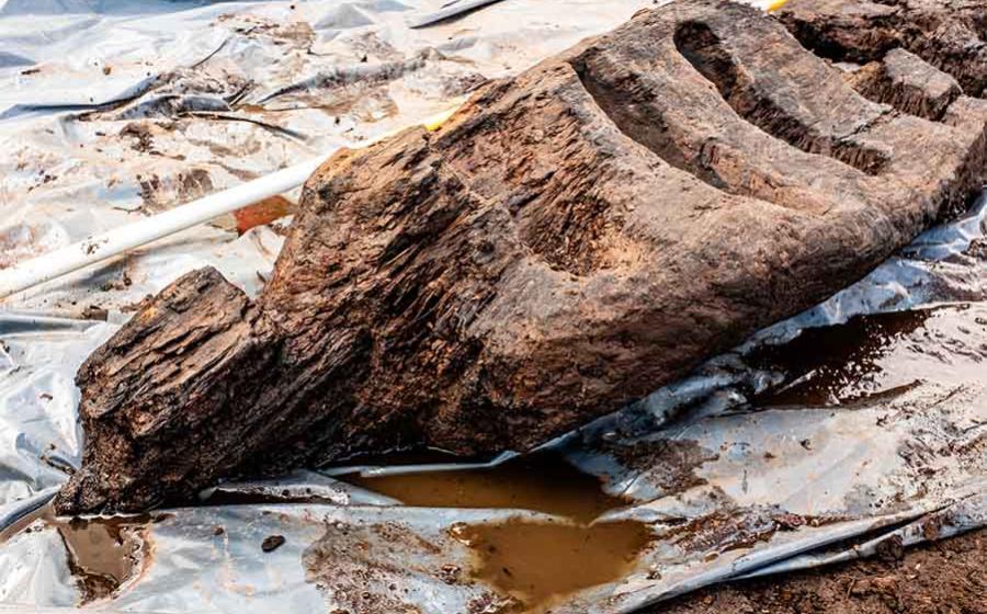 The 1,600-year-old pagan idol found in Roscommon bog, Ireland. Source: Archaeological Management Solutions/European Association of Archaeologists