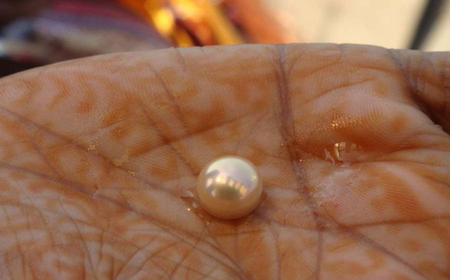 The world’s oldest pearl has been discovered at Marawah Island, United Arab Emirates. Source: Arundhati Chaudhuri / CC BY-SA 2.0.