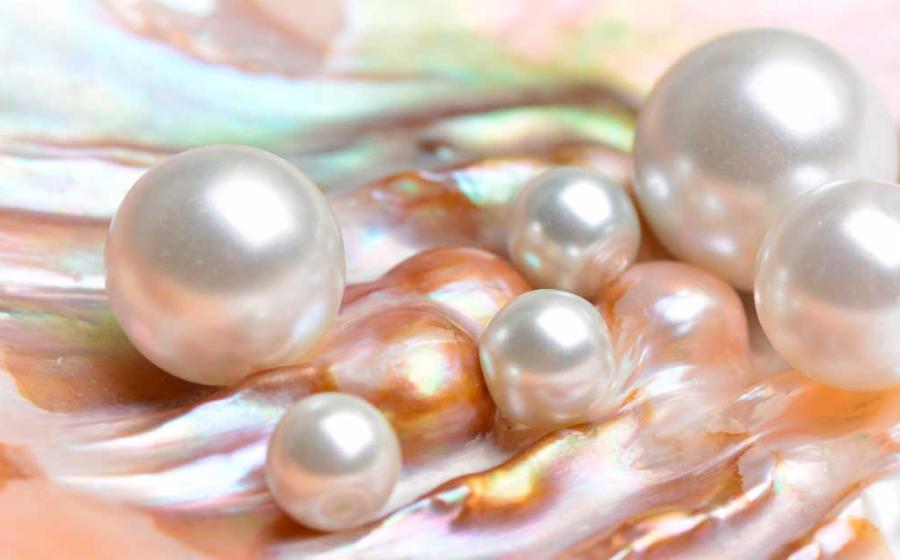 Natural pearls inside an oyster shell were a surprise in the ancient food sources of peoples living on the coast in the Persian Gulf and southern India and before long they were world famous elite gemstones. Source: valeriy555 / Adobe Stock