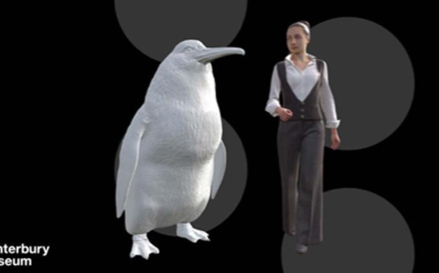 An illustration shows the approximate height of a giant penguin next to a woman. Source: Canterbury Museum
