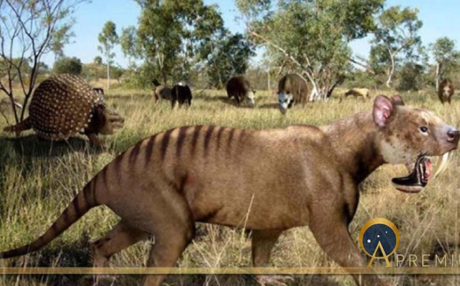 Saber-toothed sparassodont †Thylacosmilus (with †Glyptodon and toxodonts in the background) (Public Domain)