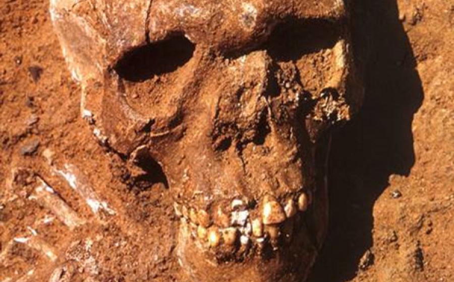 13,000-year-old Saharan remains
