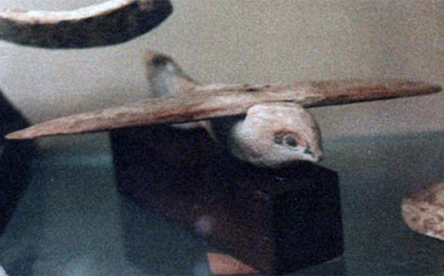 The Saqqara Bird