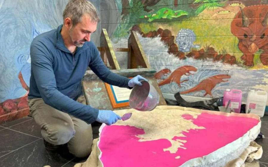 Researcher Anthony Romilio found dinosaur footprints in a rock donated to a high school in Australia. 