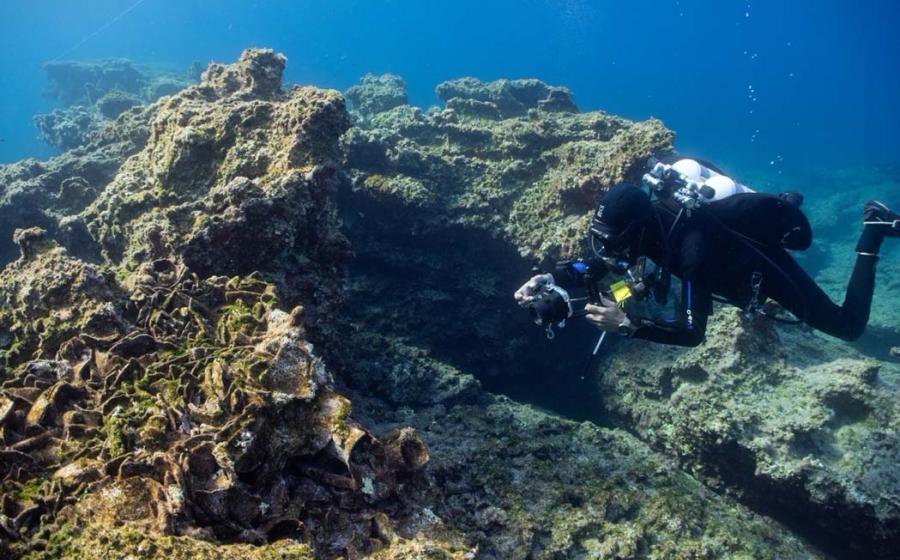 Three Ancient Shipwrecks Still With Cargo Found Off Greek Island