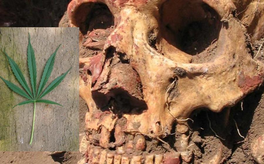 Yamnaya skull from the Samara region colored with red ochre.