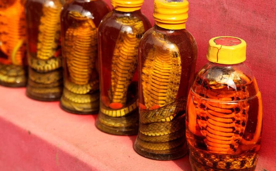 Snake oil in Sapa.