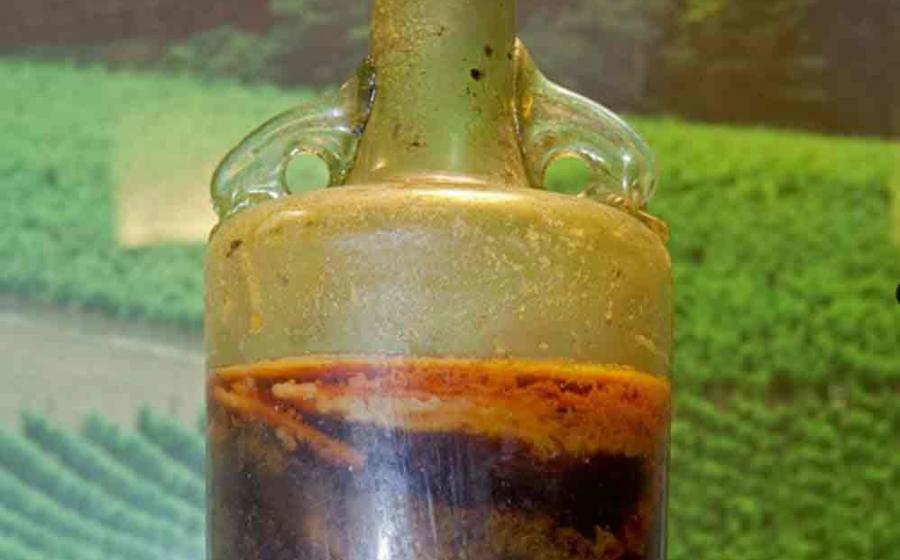 Detail of the 1650-year-old Speyer wine bottle. Source: Wines of Germany