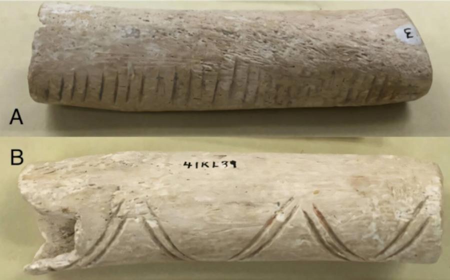 Left human humerus fashioned into a rasp. a) playing surface, b) geometric design