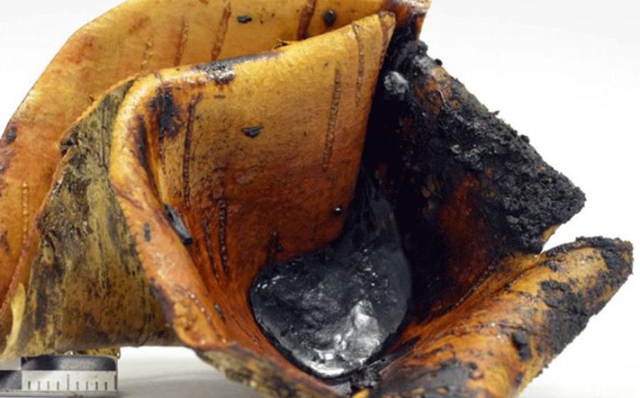 Tar collected in a birch bark container from the pit roll experiment, a technique which uses glowing embers placed over a roll of bark in a small pit. 