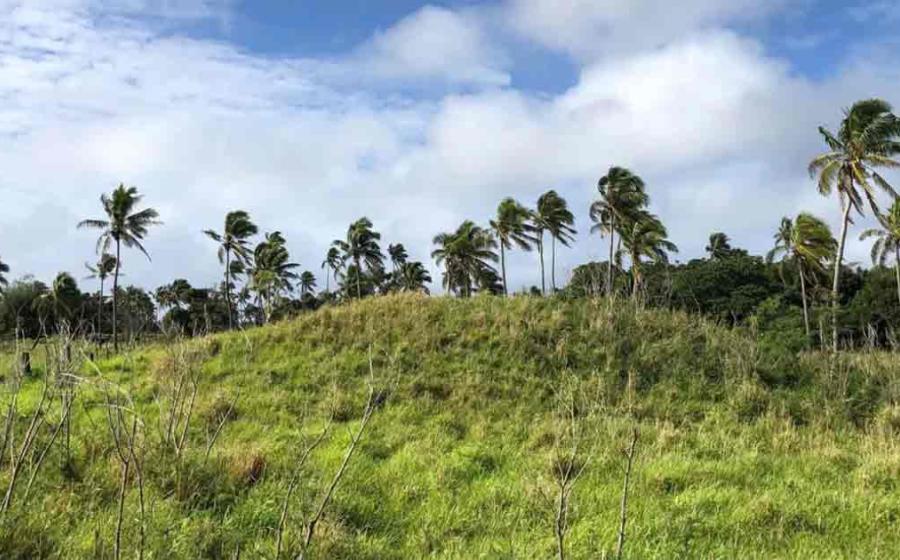 Earth structures were being constructed on Tongatapu around AD 300. Source: Phillip Parton/ANU