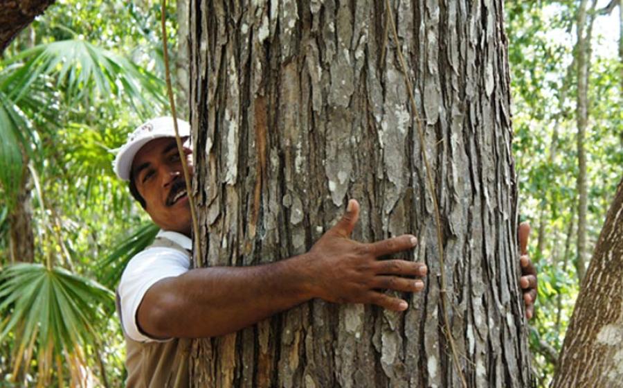 Tree huggers are both a current form of environmental activism and one that has been used effectively in the past in places like India.		Source: Carolina Hoyos Lievano / World Bank