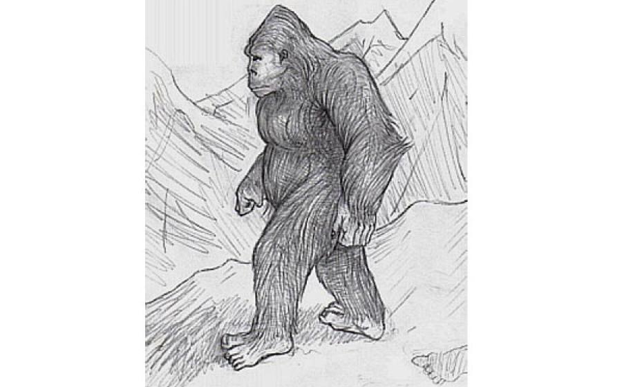 Yeti