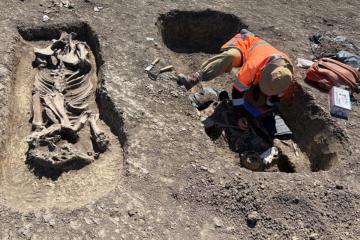 The 1,400-year-old Avar warrior and horse burial unearthed in Timișoara, Romania.  