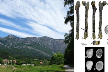 Scenery at Zgorigrad Village, Vrachanski Balkan National Park, Bulgaria. Right; images of the femur.