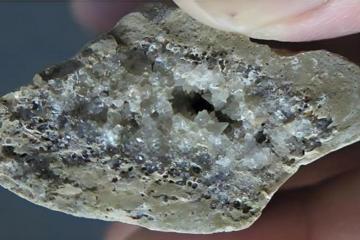 Crystals growing inside a bone found at the Lingjing archaeological site.