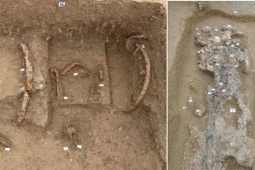 The princely chariot tomb at the center of the newly uncovered 6th-century BC Picene funerary complex near Sirolo
