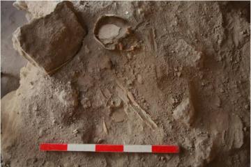 The upper half of one of the dozens of children’s skeletons found in the cistern in Azekah