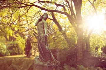 Statue in Danish graveyard, struck by golden sunlight.